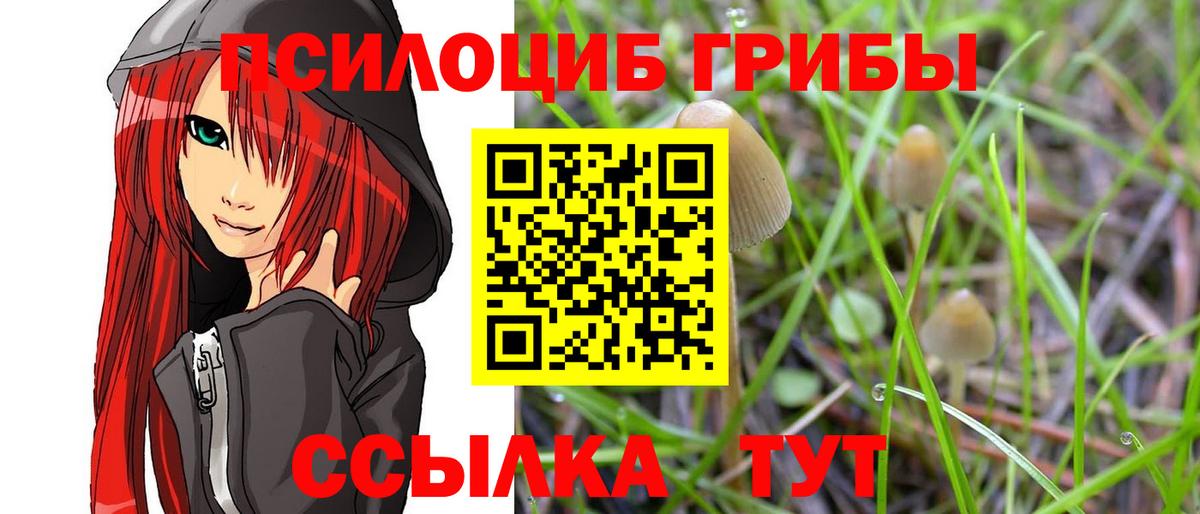 где можно купить   Галлюциногенные грибы ЛСД  Вход с VPN  Фролово 